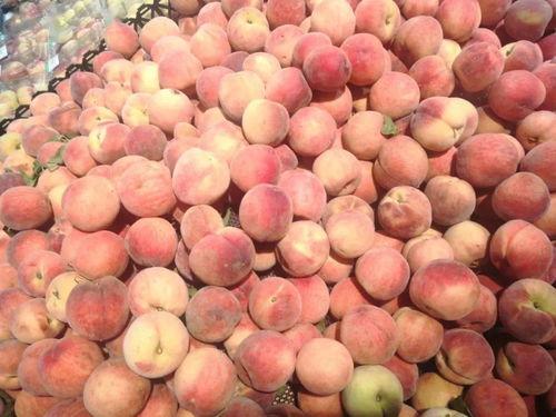 小豪娱乐吃瓜,揭秘娱乐圈最新吃瓜事件