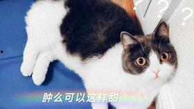 吃瓜cp娱乐圈直播